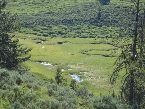 GDMBR: More creek water and wetlands.